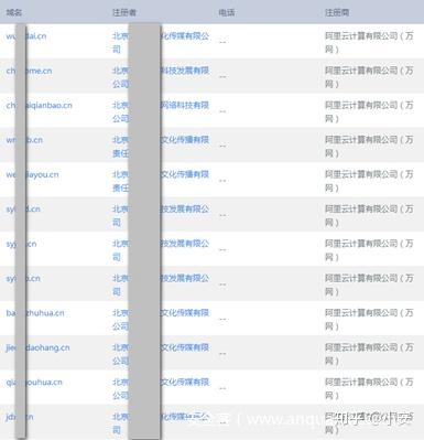 Whois查询有哪些限制和规则