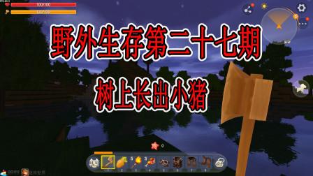 野外求生迷你世界游戏(迷你世界生存小别墅 野外生存)